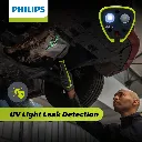 Main Image 6.webp