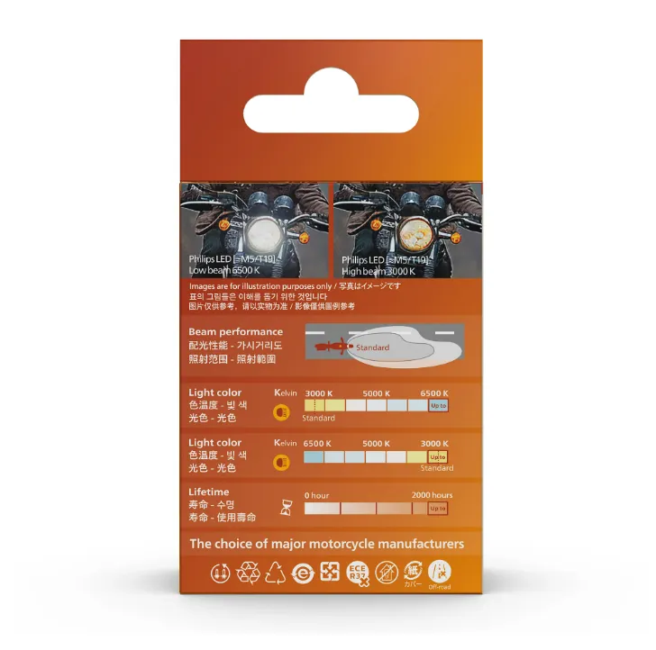 Dual 4.webp