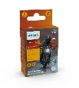 Dual 1.webp