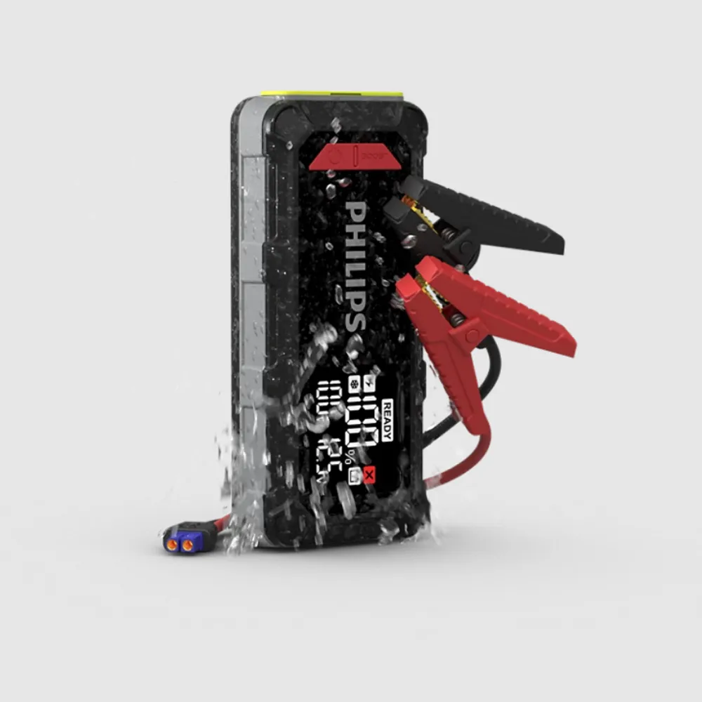 Main Image 13.webp