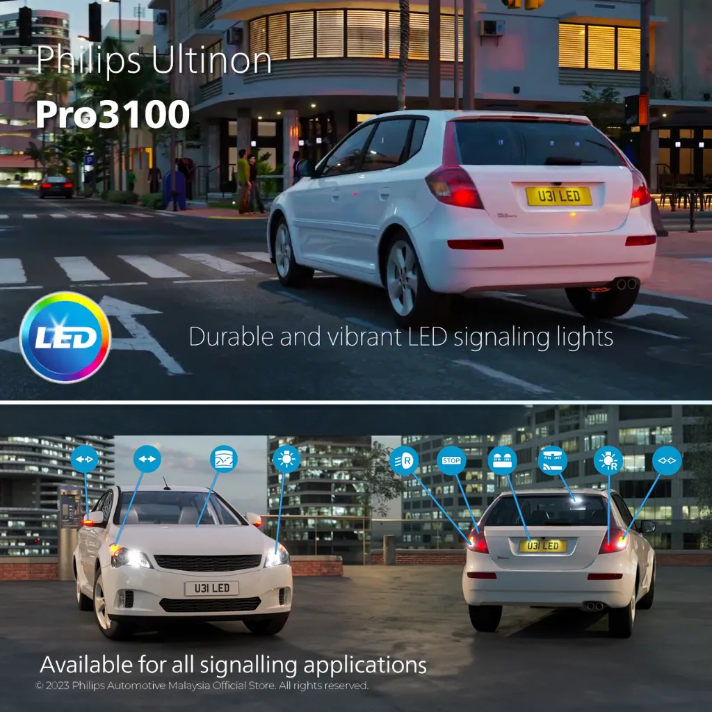 pro31002.webp