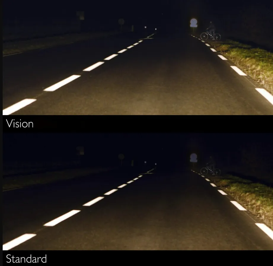 12362 (7).webp