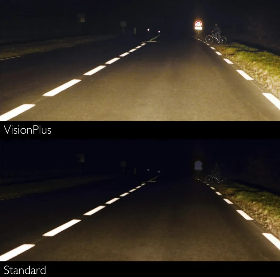 Vision Plus (3).webp